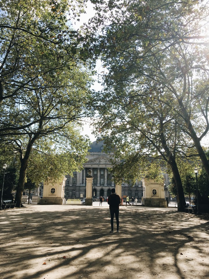 Processed with VSCO with a6 preset