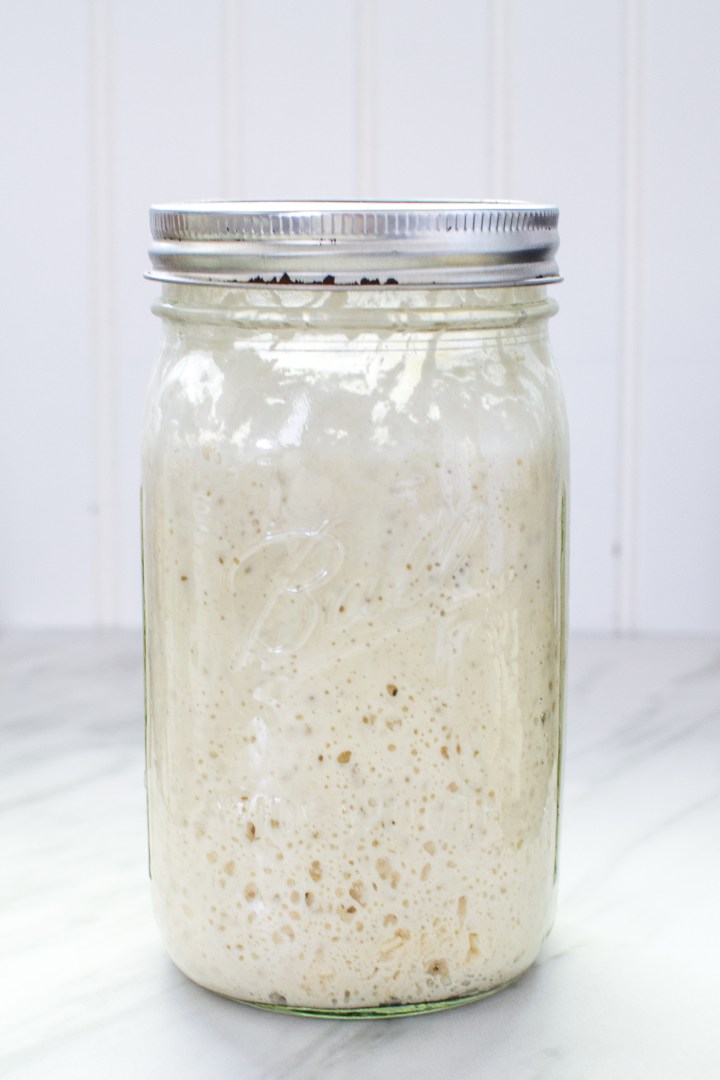 Sourdough Starter 101